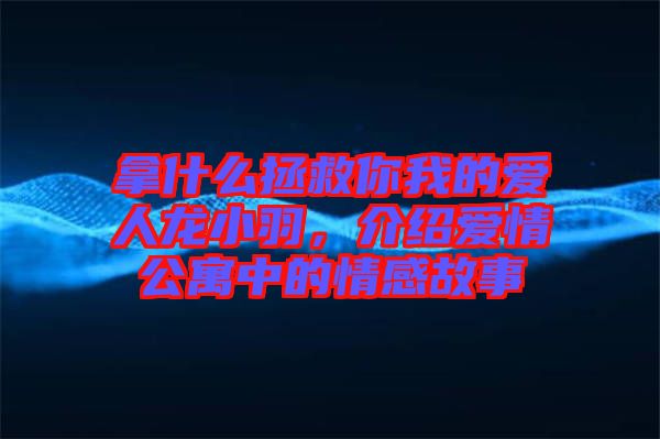 拿什么拯救你我的愛(ài)人龍小羽，介紹愛(ài)情公寓中的情感故事