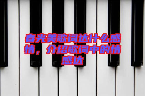 春光美歌詞達(dá)什么感情，介紹歌詞中的情感達(dá)