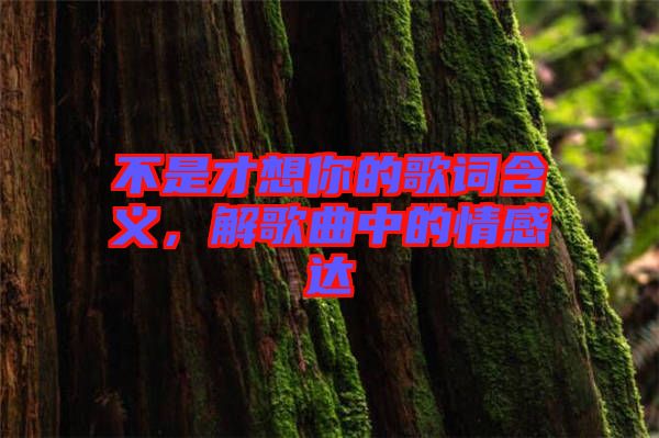 不是才想你的歌詞含義，解歌曲中的情感達