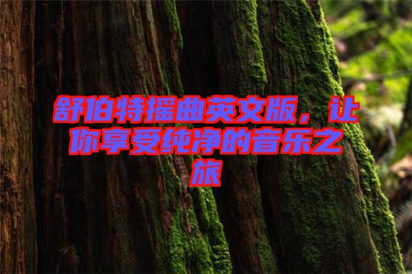 舒伯特?fù)u曲英文版，讓你享受純凈的音樂(lè)之旅