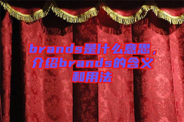 brands是什么意思，介紹brands的含義和用法