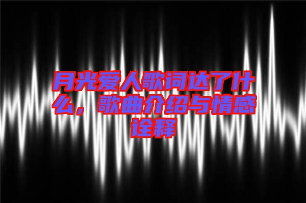 月光愛人歌詞達(dá)了什么，歌曲介紹與情感詮釋