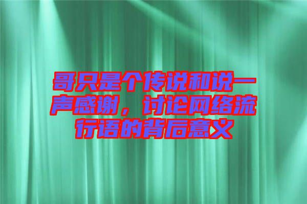 哥只是個傳說和說一聲感謝，討論網(wǎng)絡流行語的背后意義