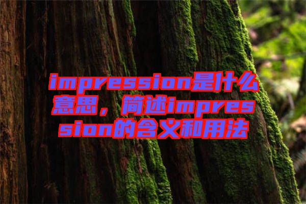 impression是什么意思，簡述impression的含義和用法