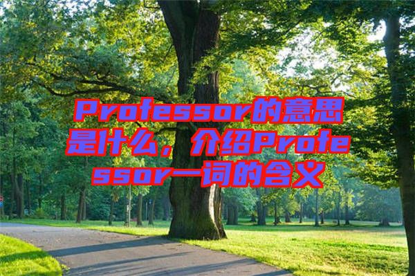 Professor的意思是什么，介紹Professor一詞的含義