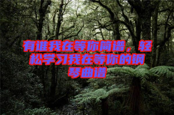 有誰我在等你簡譜，輕松學(xué)習(xí)我在等你的鋼琴曲譜