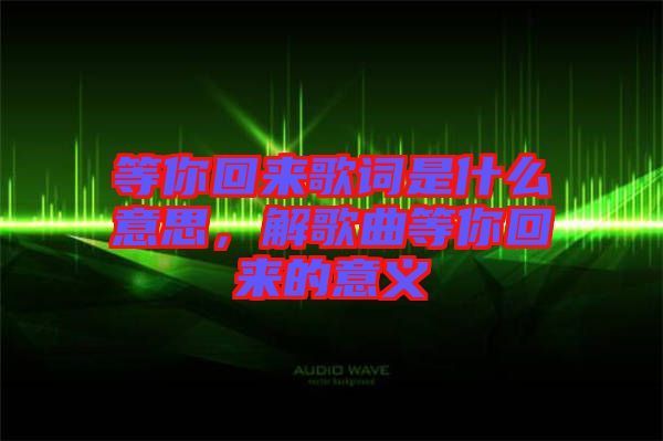 等你回來歌詞是什么意思，解歌曲等你回來的意義