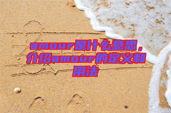 amour是什么意思，介紹amour的定義和用法