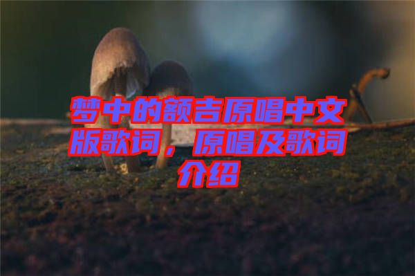 夢中的額吉原唱中文版歌詞，原唱及歌詞介紹