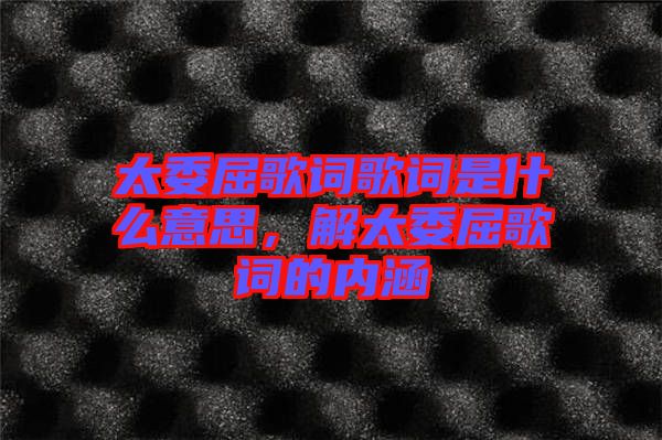 太委屈歌詞歌詞是什么意思，解太委屈歌詞的內(nèi)涵