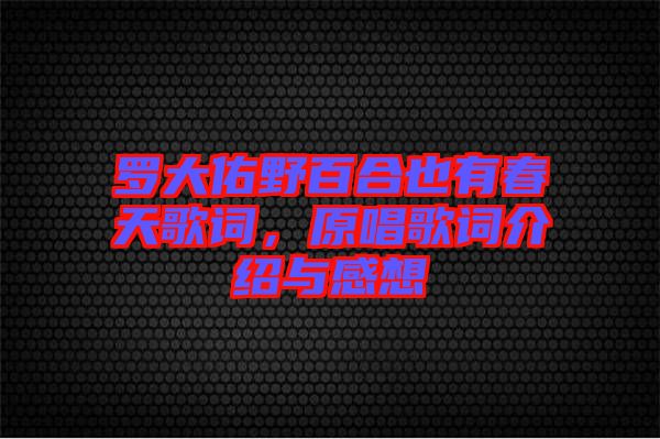 羅大佑野百合也有春天歌詞，原唱歌詞介紹與感想