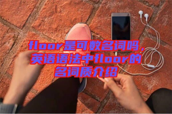 floor是可數(shù)名詞嗎，英語語法中floor的名詞質(zhì)介紹