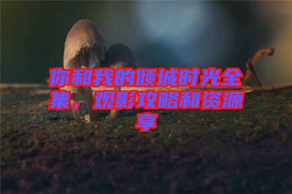 你和我的傾城時光全集，觀影攻略和資源享