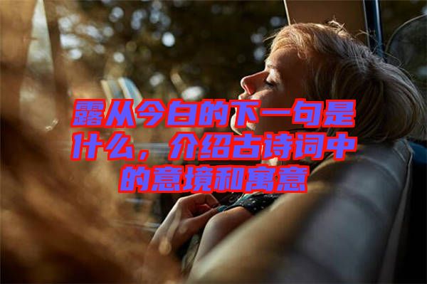 露從今白的下一句是什么，介紹古詩詞中的意境和寓意