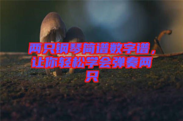 兩只鋼琴簡(jiǎn)譜數(shù)字譜，讓你輕松學(xué)會(huì)彈奏兩只