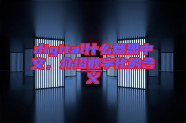 digital什么意思中文，介紹數(shù)字化的含義