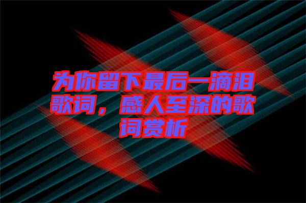 為你留下最后一滴淚歌詞，感人至深的歌詞賞析