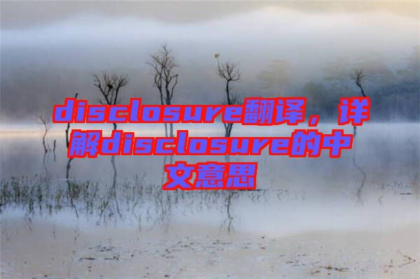 disclosure翻譯，詳解disclosure的中文意思