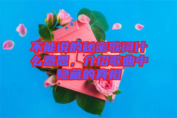 不能說(shuō)的秘密歌詞什么意思，介紹歌曲中隱藏的真相