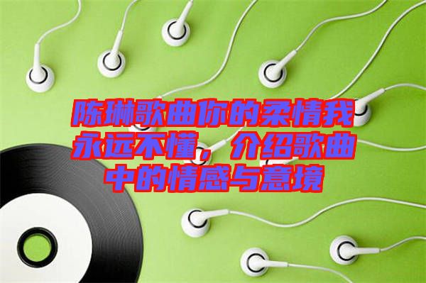 陳琳歌曲你的柔情我永遠(yuǎn)不懂，介紹歌曲中的情感與意境