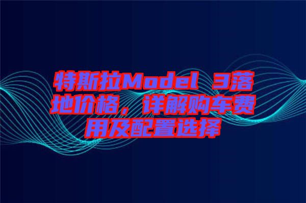 特斯拉Model 3落地價格，詳解購車費用及配置選擇