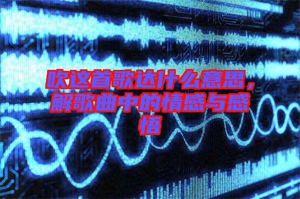 吹這首歌達什么意思，解歌曲中的情感與感悟