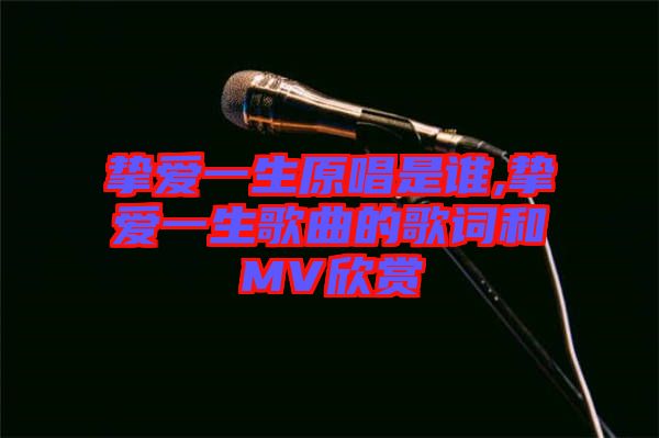 摯愛一生原唱是誰,摯愛一生歌曲的歌詞和MV欣賞