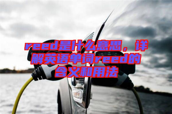 reed是什么意思，詳解英語單詞reed的含義和用法