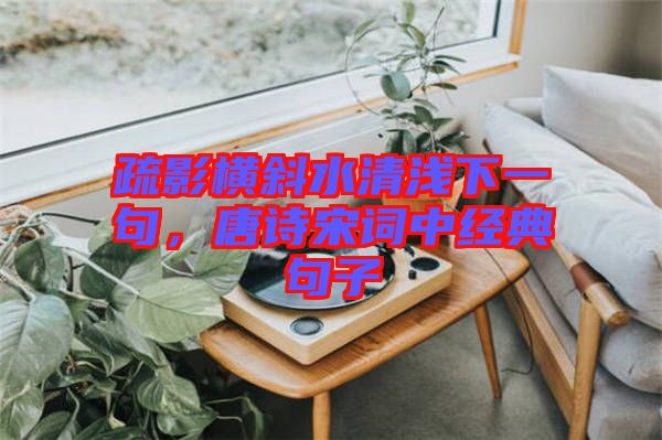 疏影橫斜水清淺下一句，唐詩宋詞中經(jīng)典句子