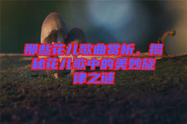 那些花兒歌曲賞析，揭秘花兒歌中的美妙旋律之謎