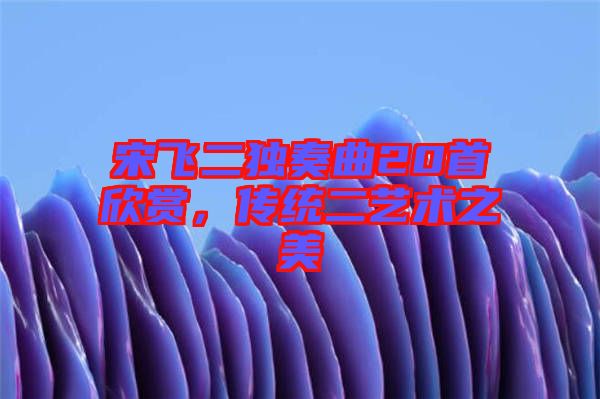 宋飛二獨奏曲20首欣賞，傳統(tǒng)二藝術之美