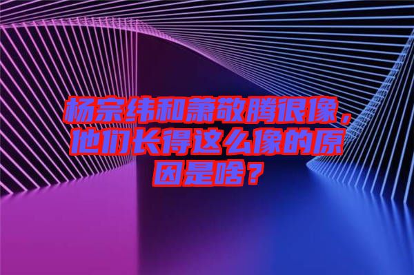 楊宗緯和蕭敬騰很像，他們長得這么像的原因是啥？