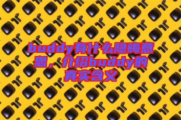 buddy有什么隱晦意思，介紹buddy的真實含義