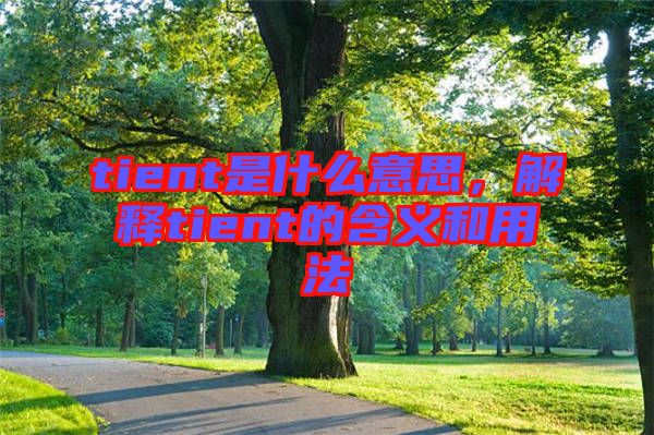 tient是什么意思，解釋tient的含義和用法