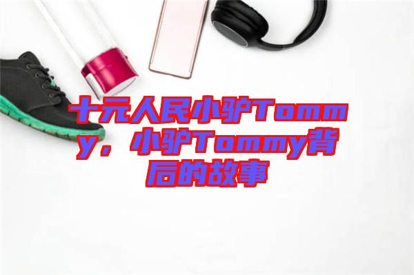 十元人民小驢Tommy，小驢Tommy背后的故事