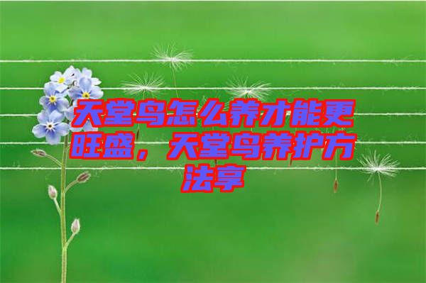 天堂鳥(niǎo)怎么養(yǎng)才能更旺盛，天堂鳥(niǎo)養(yǎng)護(hù)方法享