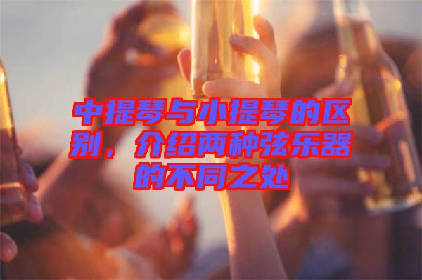 中提琴與小提琴的區(qū)別，介紹兩種弦樂器的不同之處