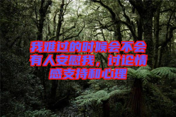 我難過的時(shí)候會(huì)不會(huì)有人安慰我，討論情感支持和心理