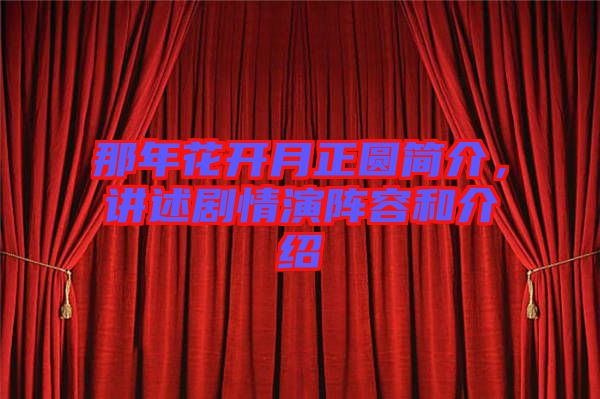 那年花開月正圓簡介，講述劇情演陣容和介紹