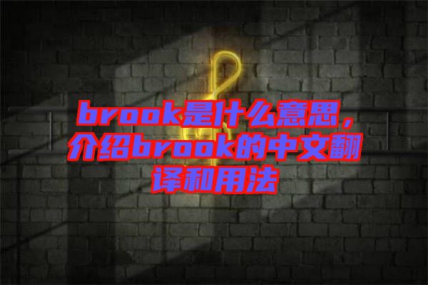 brook是什么意思，介紹brook的中文翻譯和用法