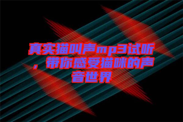 真實貓叫聲mp3試聽，帶你感受貓咪的聲音世界