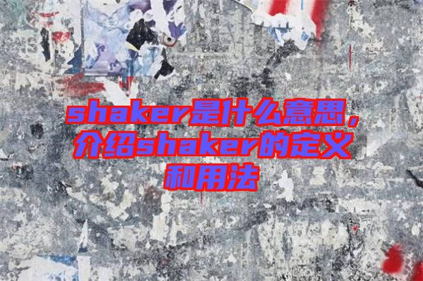 shaker是什么意思，介紹shaker的定義和用法