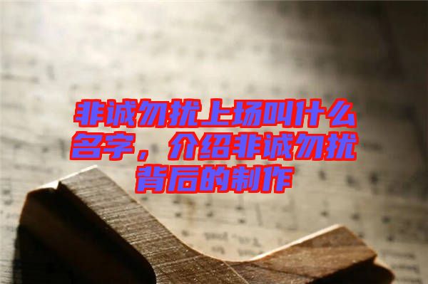 非誠(chéng)勿擾上場(chǎng)叫什么名字，介紹非誠(chéng)勿擾背后的制作