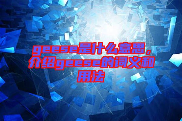 geese是什么意思，介紹geese的詞義和用法