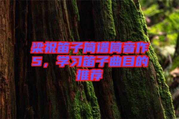 梁祝笛子簡譜筒音作5，學習笛子曲目的推薦