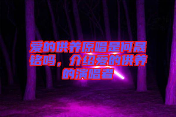 愛的供養(yǎng)原唱是何晟銘嗎，介紹愛的供養(yǎng)的演唱者