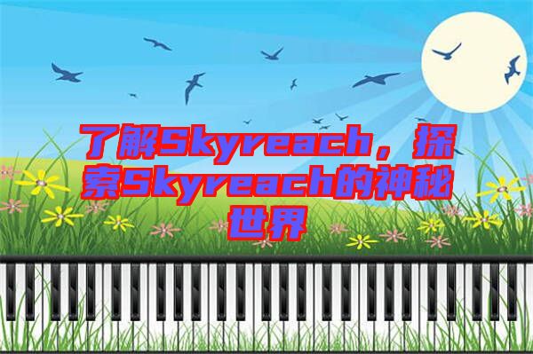 了解Skyreach，探索Skyreach的神秘世界