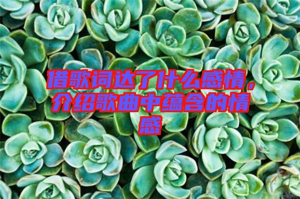 借歌詞達了什么感情，介紹歌曲中蘊含的情感