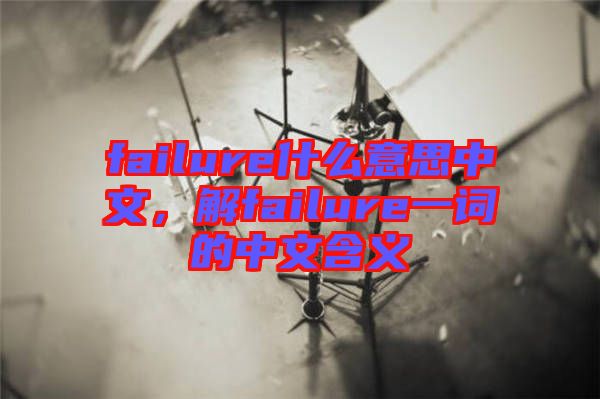 failure什么意思中文，解failure一詞的中文含義