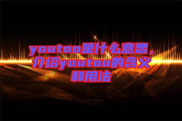 youtoo是什么意思，介紹youtoo的含義和用法